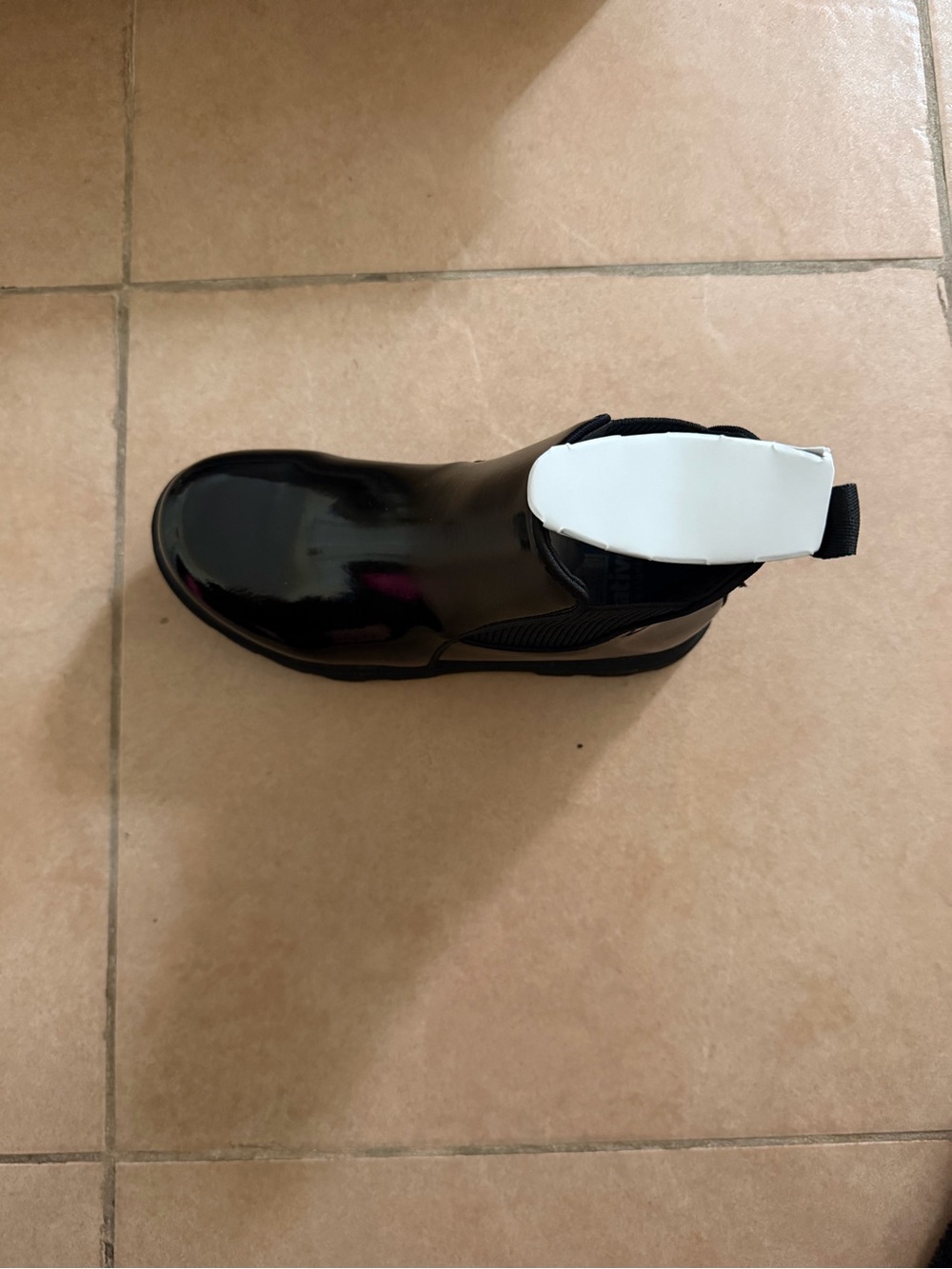Native Kensington Treklite Gloss